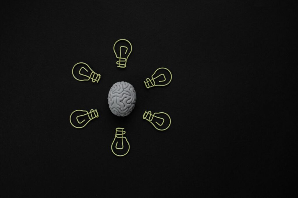 Intellectual Property rights